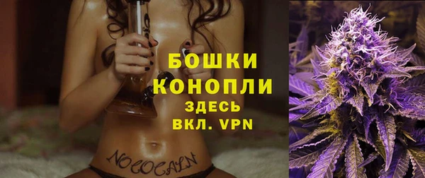 сатива Балабаново