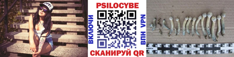 Галлюциногенные грибы Magic Shrooms  Новомосковск 
